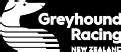 Grnz fields Fields Southland Greyhound Racing Club 15 Nov 2023